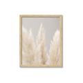 Picture of Creamy Petal Pampas II _GroupedProduct_Rectangle_Portrait_Photography _GroupedProduct_Rectangle_Portrait_Framed_Matted_