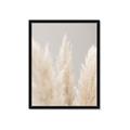 Picture of Creamy Petal Pampas II _GroupedProduct_Rectangle_Portrait_Photography _GroupedProduct_Rectangle_Portrait_Framed_Matted_