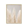 Picture of Creamy Petal Pampas II _GroupedProduct_Rectangle_Portrait_Photography _GroupedProduct_Rectangle_Portrait_Framed_Matted_