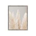 Picture of Creamy Petal Pampas II _GroupedProduct_Rectangle_Portrait_Photography _GroupedProduct_Rectangle_Portrait_Framed_Matted_