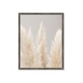 Picture of Creamy Petal Pampas II _GroupedProduct_Rectangle_Portrait_Photography _GroupedProduct_Rectangle_Portrait_Framed_Matted_