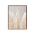 Picture of Creamy Petal Pampas II _GroupedProduct_Rectangle_Portrait_Photography _GroupedProduct_Rectangle_Portrait_Framed_Matted_