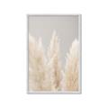 Picture of Creamy Petal Pampas II _GroupedProduct_Rectangle_Portrait_Photography _GroupedProduct_Rectangle_Portrait_Framed_Matted_