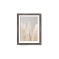 Picture of Creamy Petal Pampas II _GroupedProduct_Rectangle_Portrait_Photography _GroupedProduct_Rectangle_Portrait_Framed_Matted_
