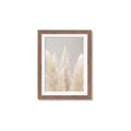 Picture of Creamy Petal Pampas II _GroupedProduct_Rectangle_Portrait_Photography _GroupedProduct_Rectangle_Portrait_Framed_Matted_