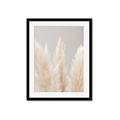 Picture of Creamy Petal Pampas II _GroupedProduct_Rectangle_Portrait_Photography _GroupedProduct_Rectangle_Portrait_Framed_Matted_