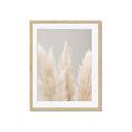 Picture of Creamy Petal Pampas II _GroupedProduct_Rectangle_Portrait_Photography _GroupedProduct_Rectangle_Portrait_Framed_Matted_