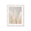 Picture of Creamy Petal Pampas II _GroupedProduct_Rectangle_Portrait_Photography _GroupedProduct_Rectangle_Portrait_Framed_Matted_