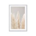 Picture of Creamy Petal Pampas II _GroupedProduct_Rectangle_Portrait_Photography _GroupedProduct_Rectangle_Portrait_Framed_Matted_