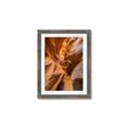 Picture of The Golden Passage _GroupedProduct_Rectangle_Portrait_Photography _GroupedProduct_Rectangle_Portrait_Framed_Matted_