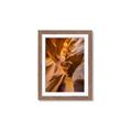 Picture of The Golden Passage _GroupedProduct_Rectangle_Portrait_Photography _GroupedProduct_Rectangle_Portrait_Framed_Matted_
