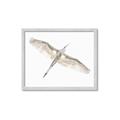 Picture of Serenade Flight _GroupedProduct_Rectangle_Landscape_Photography _GroupedProduct_Rectangle_Landscape_Framed_Matted_