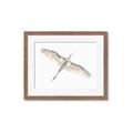Picture of Serenade Flight _GroupedProduct_Rectangle_Landscape_Photography _GroupedProduct_Rectangle_Landscape_Framed_Matted_