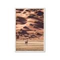 Picture of Tranquil Walk in the Valley _GroupedProduct_Rectangle_Portrait_Photography _GroupedProduct_Rectangle_Portrait_Framed_Matted_