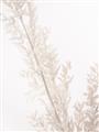 Picture of Earthy Flora Straws _GroupedProduct_Rectangle_Portrait_Photography _GroupedProduct_Rectangle_Portrait_Unframed_Print_Only_