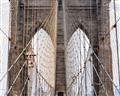 Picture of New York Cable Bridge _GroupedProduct_Rectangle_Landscape_Photography _GroupedProduct_Rectangle_Landscape_Unframed_Print_Only_