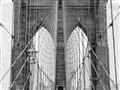 Picture of New York Cable Bridge _GroupedProduct_Rectangle_Landscape_Photography _GroupedProduct_Rectangle_Landscape_Unframed_Print_Only_