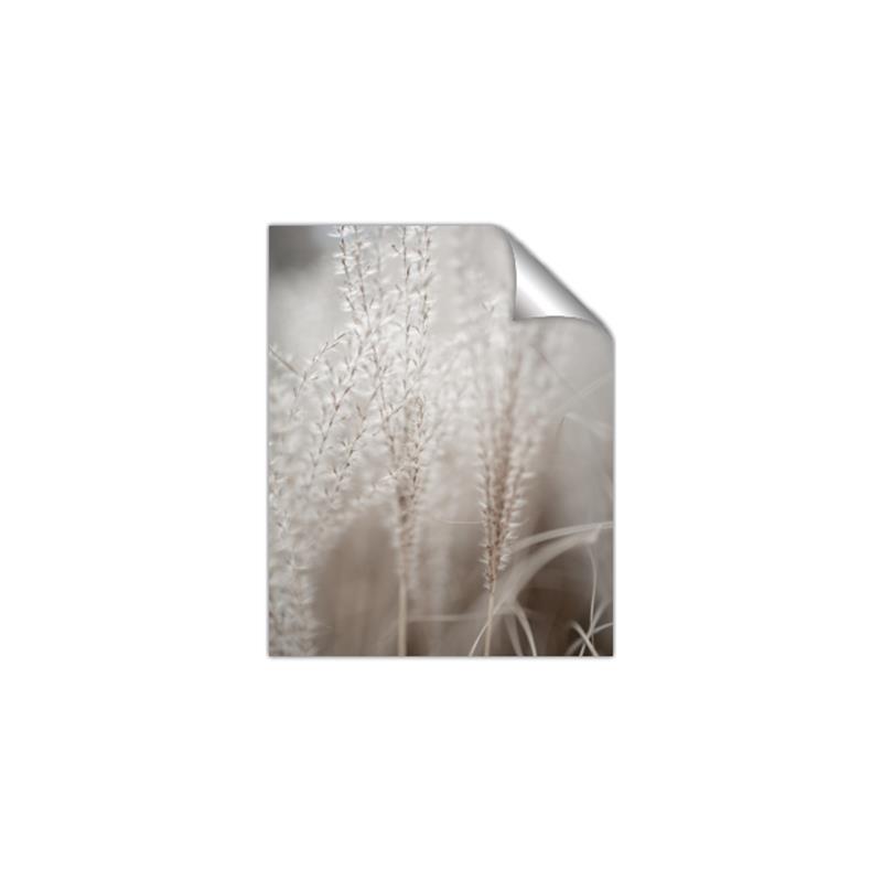 Picture of Elysian Grass _GroupedProduct_Rectangle_Portrait_Photography _GroupedProduct_Rectangle_Portrait_Unframed_Print_Only_