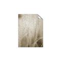 Picture of Elysian Grass _GroupedProduct_Rectangle_Portrait_Photography _GroupedProduct_Rectangle_Portrait_Unframed_Print_Only_