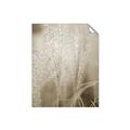 Picture of Elysian Grass _GroupedProduct_Rectangle_Portrait_Photography _GroupedProduct_Rectangle_Portrait_Unframed_Print_Only_