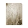 Picture of Elysian Grass _GroupedProduct_Rectangle_Portrait_Photography _GroupedProduct_Rectangle_Portrait_Unframed_Print_Only_