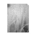 Picture of Elysian Grass _GroupedProduct_Rectangle_Portrait_Photography _GroupedProduct_Rectangle_Portrait_Unframed_Print_Only_