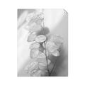 Picture of Celestial Summer Leaves _GroupedProduct_Rectangle_Portrait_Photography _GroupedProduct_Rectangle_Portrait_Unframed_Print_Only_