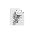 Picture of Dried Eucalyptus Blossom _GroupedProduct_Rectangle_Portrait_Photography _GroupedProduct_Rectangle_Portrait_Unframed_Print_Only_