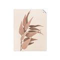 Picture of Dried Eucalyptus Blossom _GroupedProduct_Rectangle_Portrait_Photography _GroupedProduct_Rectangle_Portrait_Unframed_Print_Only_