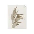 Picture of Dried Eucalyptus Blossom _GroupedProduct_Rectangle_Portrait_Photography _GroupedProduct_Rectangle_Portrait_Unframed_Print_Only_