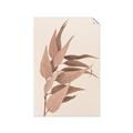 Picture of Dried Eucalyptus Blossom _GroupedProduct_Rectangle_Portrait_Photography _GroupedProduct_Rectangle_Portrait_Unframed_Print_Only_
