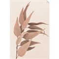 Picture of Dried Eucalyptus Blossom _GroupedProduct_Rectangle_Portrait_Photography _GroupedProduct_Rectangle_Portrait_Unframed_Print_Only_