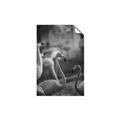 Picture of Flamingo _GroupedProduct_Rectangle_Portrait_Photography _GroupedProduct_Rectangle_Portrait_Unframed_Print_Only_