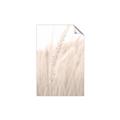 Picture of Rhapsody of Grass Blades _GroupedProduct_Rectangle_Portrait_Photography _GroupedProduct_Rectangle_Portrait_Unframed_Print_Only_