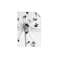 Picture of Ethereal Flower _GroupedProduct_Rectangle_Portrait_Photography _GroupedProduct_Rectangle_Portrait_Unframed_Print_Only_