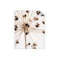 Picture of Ethereal Flower _GroupedProduct_Rectangle_Portrait_Photography _GroupedProduct_Rectangle_Portrait_Unframed_Print_Only_