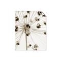 Picture of Ethereal Flower _GroupedProduct_Rectangle_Portrait_Photography _GroupedProduct_Rectangle_Portrait_Unframed_Print_Only_