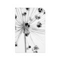 Picture of Ethereal Flower _GroupedProduct_Rectangle_Portrait_Photography _GroupedProduct_Rectangle_Portrait_Unframed_Print_Only_