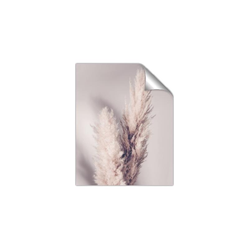 Picture of Enchanted Pampas Grass _GroupedProduct_Rectangle_Portrait_Photography _GroupedProduct_Rectangle_Portrait_Unframed_Print_Only_