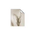 Picture of Enchanted Pampas Grass _GroupedProduct_Rectangle_Portrait_Photography _GroupedProduct_Rectangle_Portrait_Unframed_Print_Only_