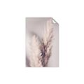 Picture of Enchanted Pampas Grass _GroupedProduct_Rectangle_Portrait_Photography _GroupedProduct_Rectangle_Portrait_Unframed_Print_Only_