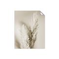 Picture of Enchanted Pampas Grass _GroupedProduct_Rectangle_Portrait_Photography _GroupedProduct_Rectangle_Portrait_Unframed_Print_Only_
