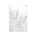 Picture of Grass straws _GroupedProduct_Rectangle_Portrait_Photography _GroupedProduct_Rectangle_Portrait_Unframed_Print_Only_