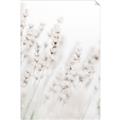 Picture of Grass straws _GroupedProduct_Rectangle_Portrait_Photography _GroupedProduct_Rectangle_Portrait_Unframed_Print_Only_