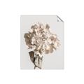 Picture of Lullaby of a Beige Flower _GroupedProduct_Rectangle_Portrait_Photography _GroupedProduct_Rectangle_Portrait_Unframed_Print_Only_