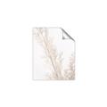 Picture of Earthy Flora Straws _GroupedProduct_Rectangle_Portrait_Photography _GroupedProduct_Rectangle_Portrait_Unframed_Print_Only_