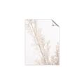 Picture of Earthy Flora Straws _GroupedProduct_Rectangle_Portrait_Photography _GroupedProduct_Rectangle_Portrait_Unframed_Print_Only_