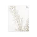 Picture of Earthy Flora Straws _GroupedProduct_Rectangle_Portrait_Photography _GroupedProduct_Rectangle_Portrait_Unframed_Print_Only_