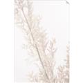 Picture of Earthy Flora Straws _GroupedProduct_Rectangle_Portrait_Photography _GroupedProduct_Rectangle_Portrait_Unframed_Print_Only_