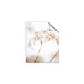 Picture of Desert Bloom Elegance _GroupedProduct_Rectangle_Portrait_Photography _GroupedProduct_Rectangle_Portrait_Unframed_Print_Only_